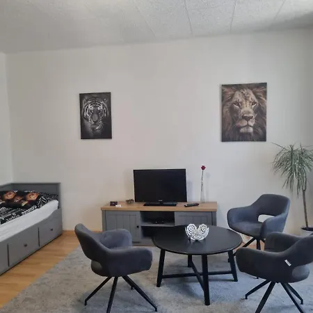 Cerny Tulipan - 1 Appartement *