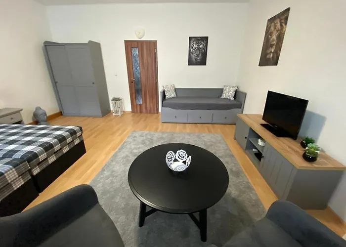Appartement Cerny Tulipan - 1 Plzeň