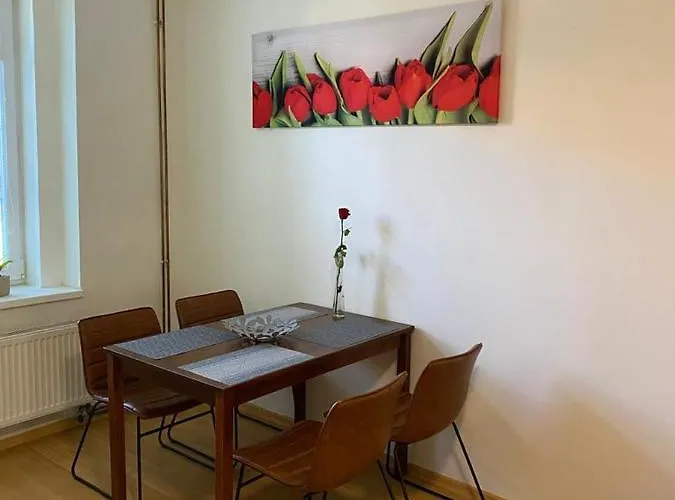 Cerny Tulipan - 1 Plzeň