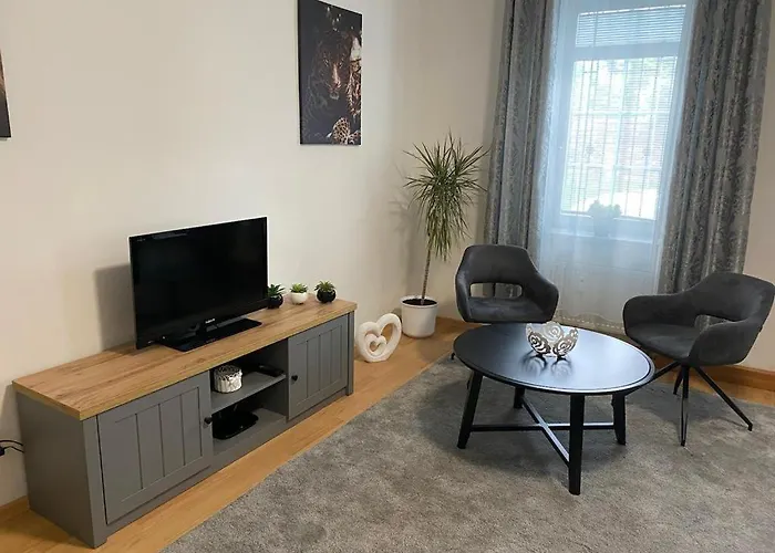 Appartement Cerny Tulipan - 1 Plzeň