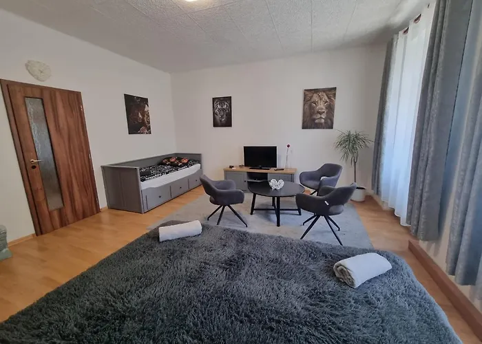 Appartement Cerny Tulipan - 1