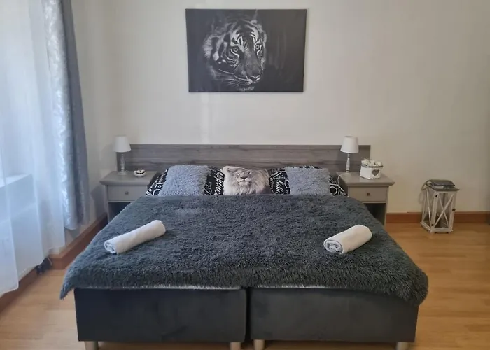 Appartement Cerny Tulipan - 1 *