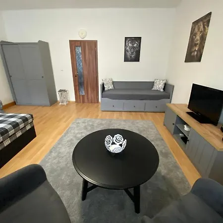 Apartment Cerny Tulipan - 1 Plzen