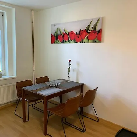 Cerny Tulipan - 1 Plzen