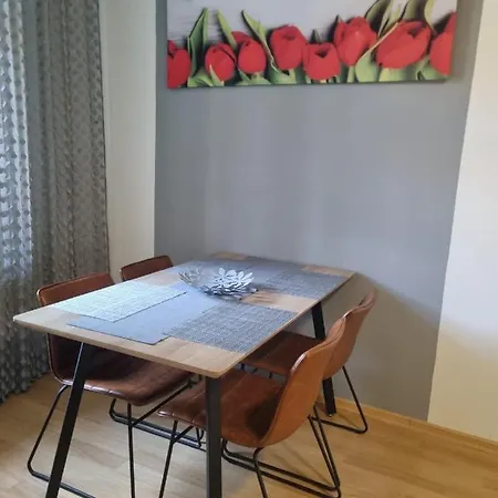 Cerny Tulipan - 1 Apartment *